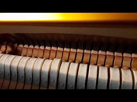 Fixing the bobbling hammer in an upright piano can be a DIY task if you are patient and careful.
