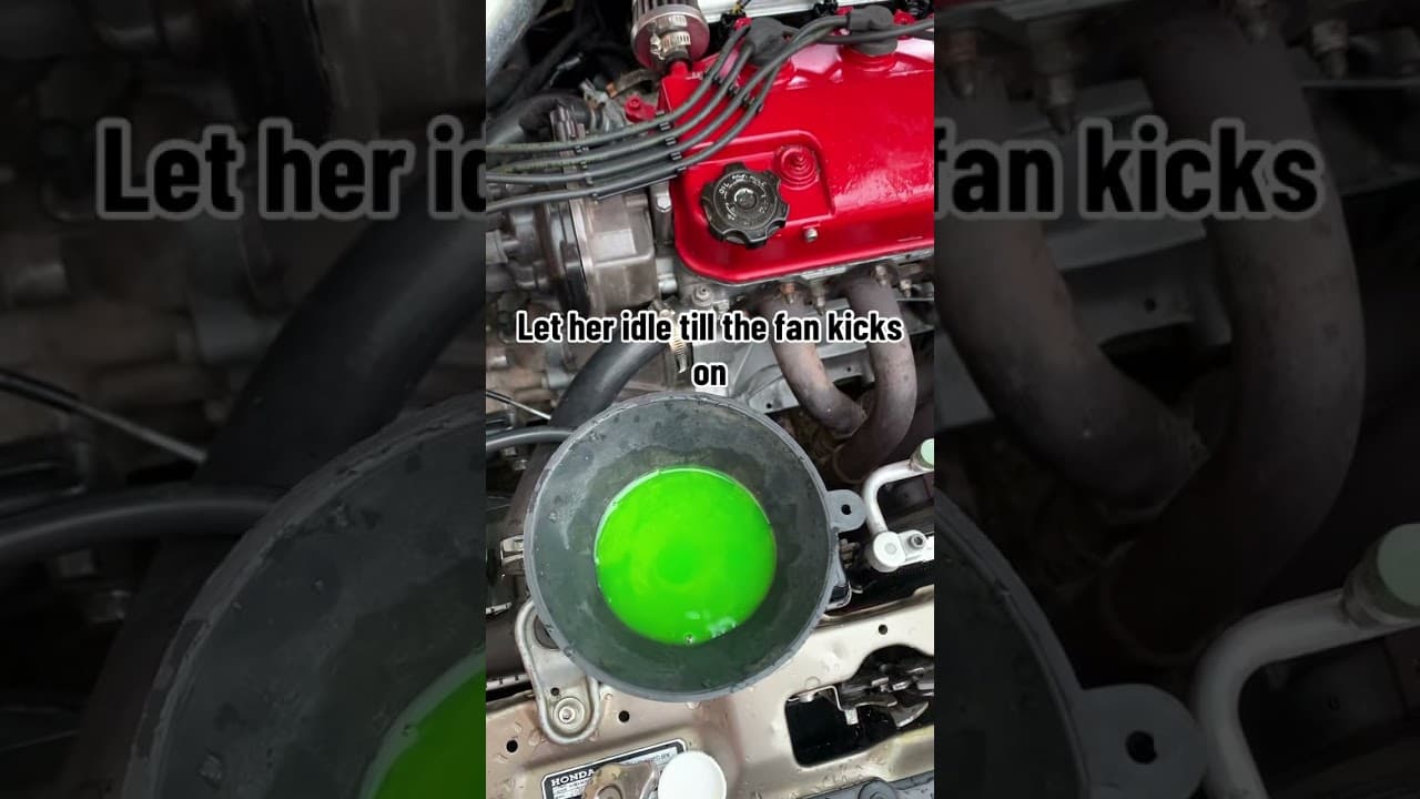 Honda Civic Radiator Flush. #hondacivic #coolant #honda #dseries