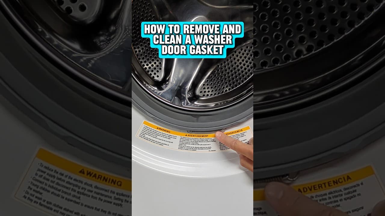 How to Clean or Replace a Washer Door Gasket #shorts #diy #appliancerepair