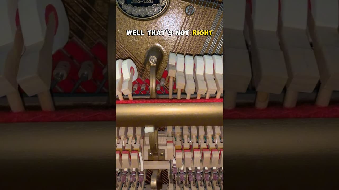 Adjust rubbing piano hammers #piano #pianotuning #music