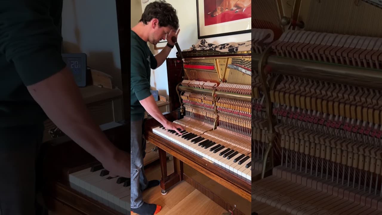 Piano tuning day! 🥳🎶🎹 Here’s Tom and his trusted assistant, Wilma! 😉 🐾 #piano #whippet #shorts