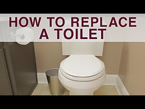 How to Replace a Toilet - DIY Network