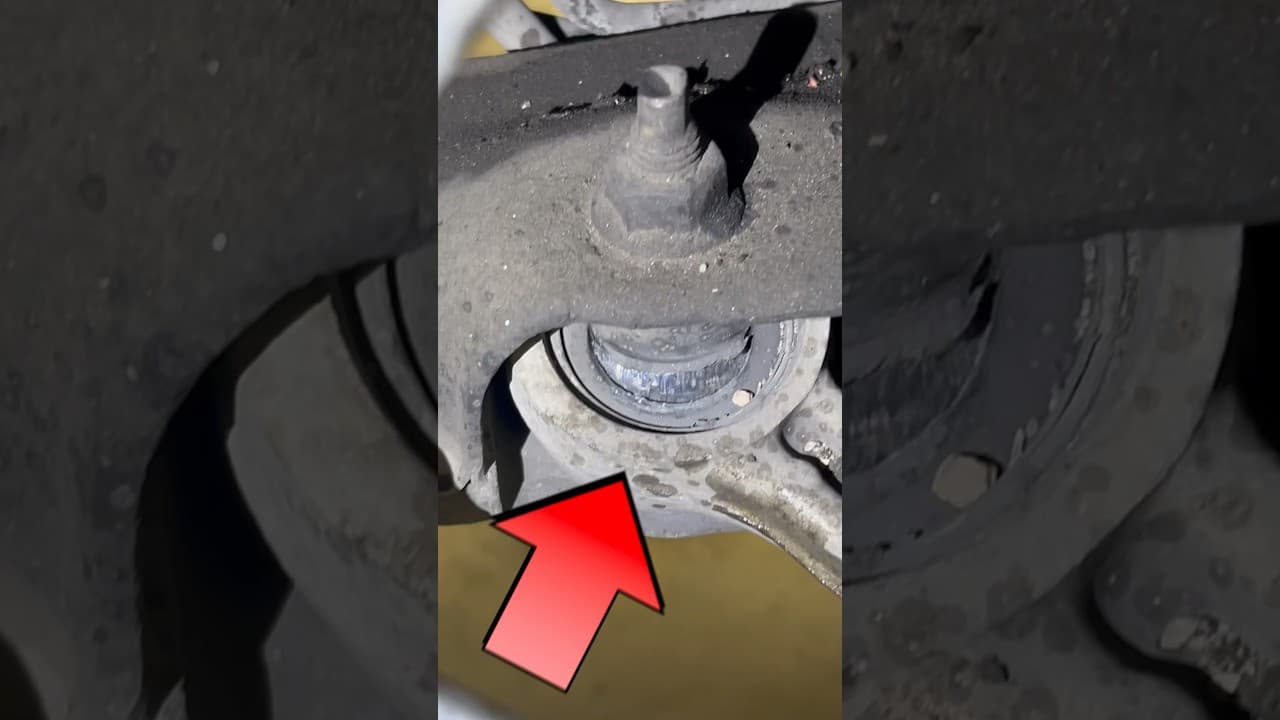 Bad Lower Control Arm Bushings #car #suspension #noise #shorts
