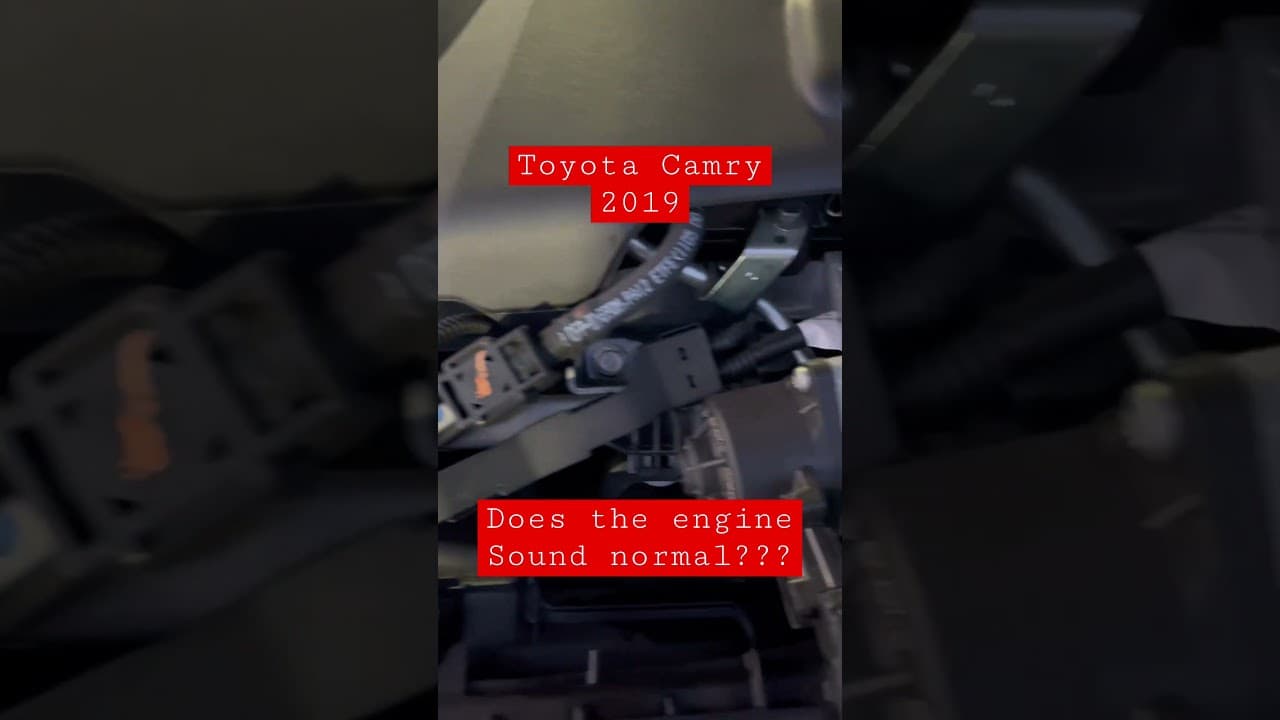 Toyota Camry 2019 does the engine sound normal? #toyota #camry #toyotacamry