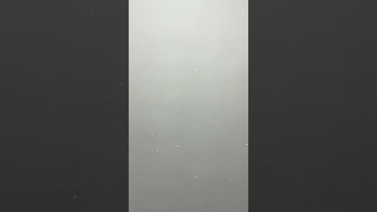 iPhone XR screen replacement
