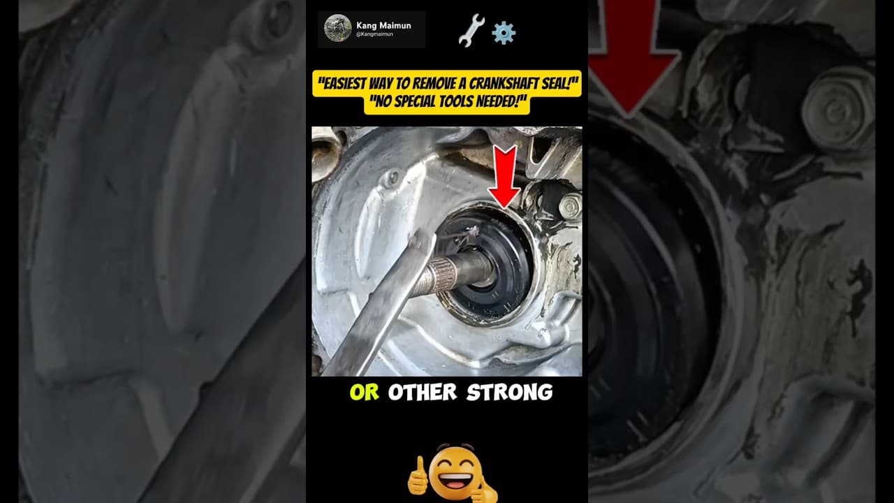 “Easiest Way to Remove a Crankshaft Seal – No Special Tools!”