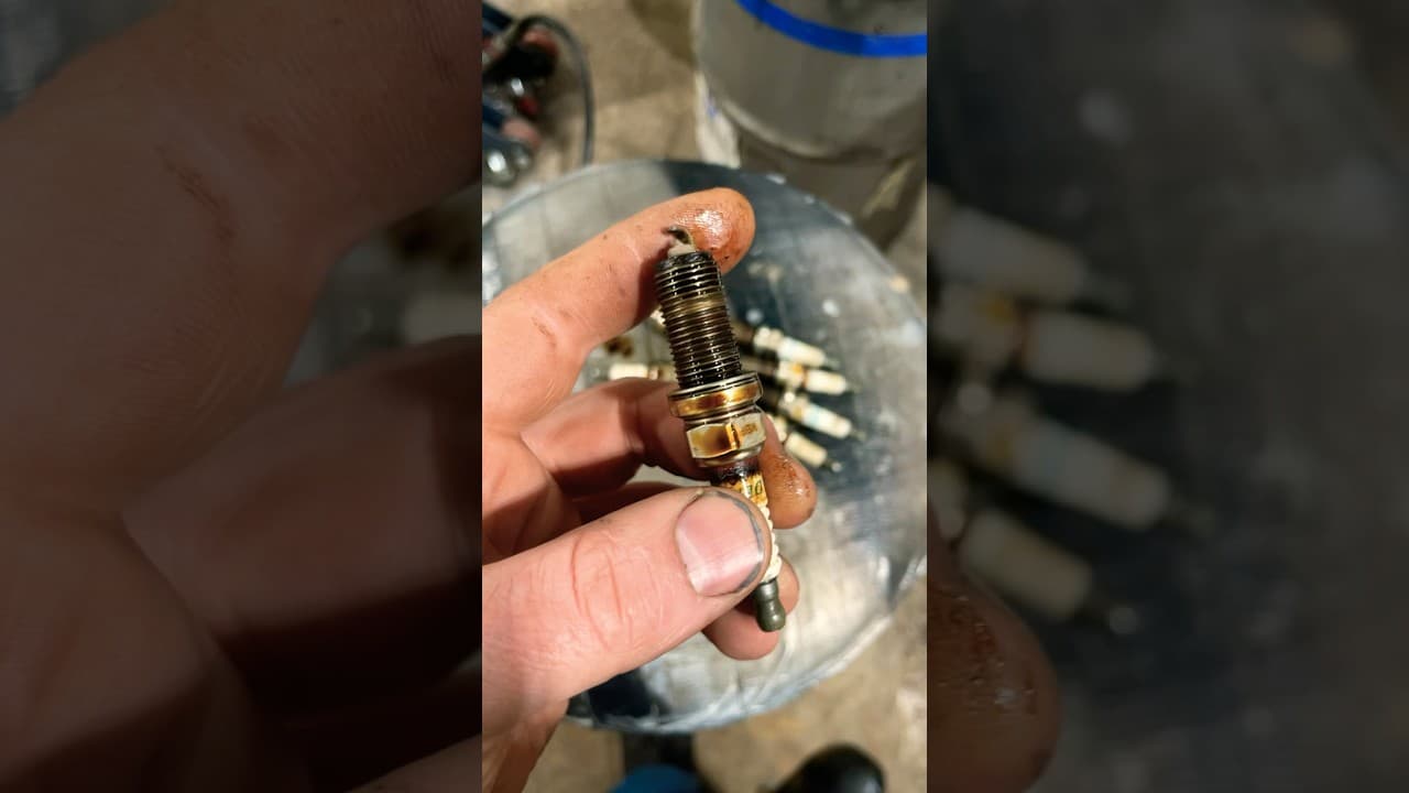 Oily Spark Plugs! Replace the Tube Seals! #automotive #mechanic #diy