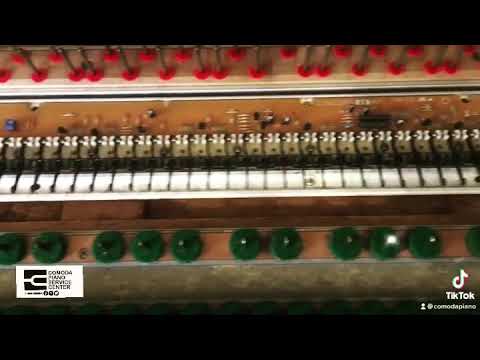 Upright | Grand | Digital | Piano Repair Services. Piano Tuner-Tech