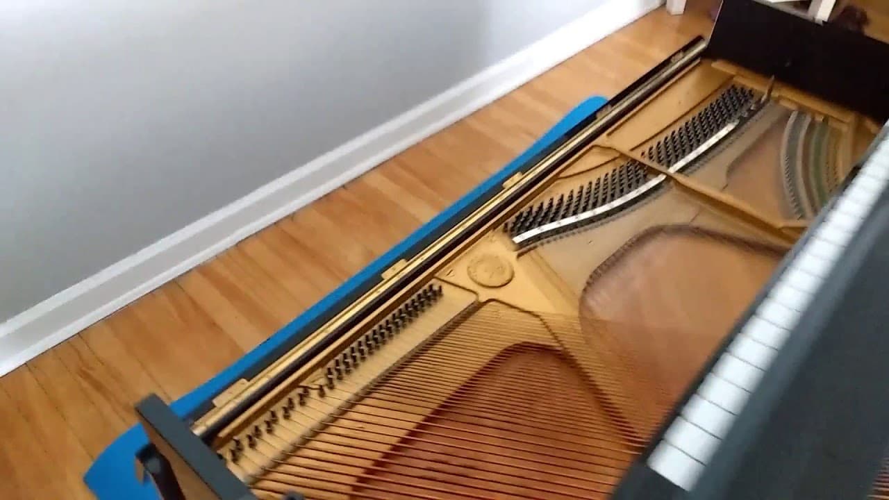 Grey Market or Wet Pianos, THE TRUTH !!! PIANO PINBLOCK REPAIR