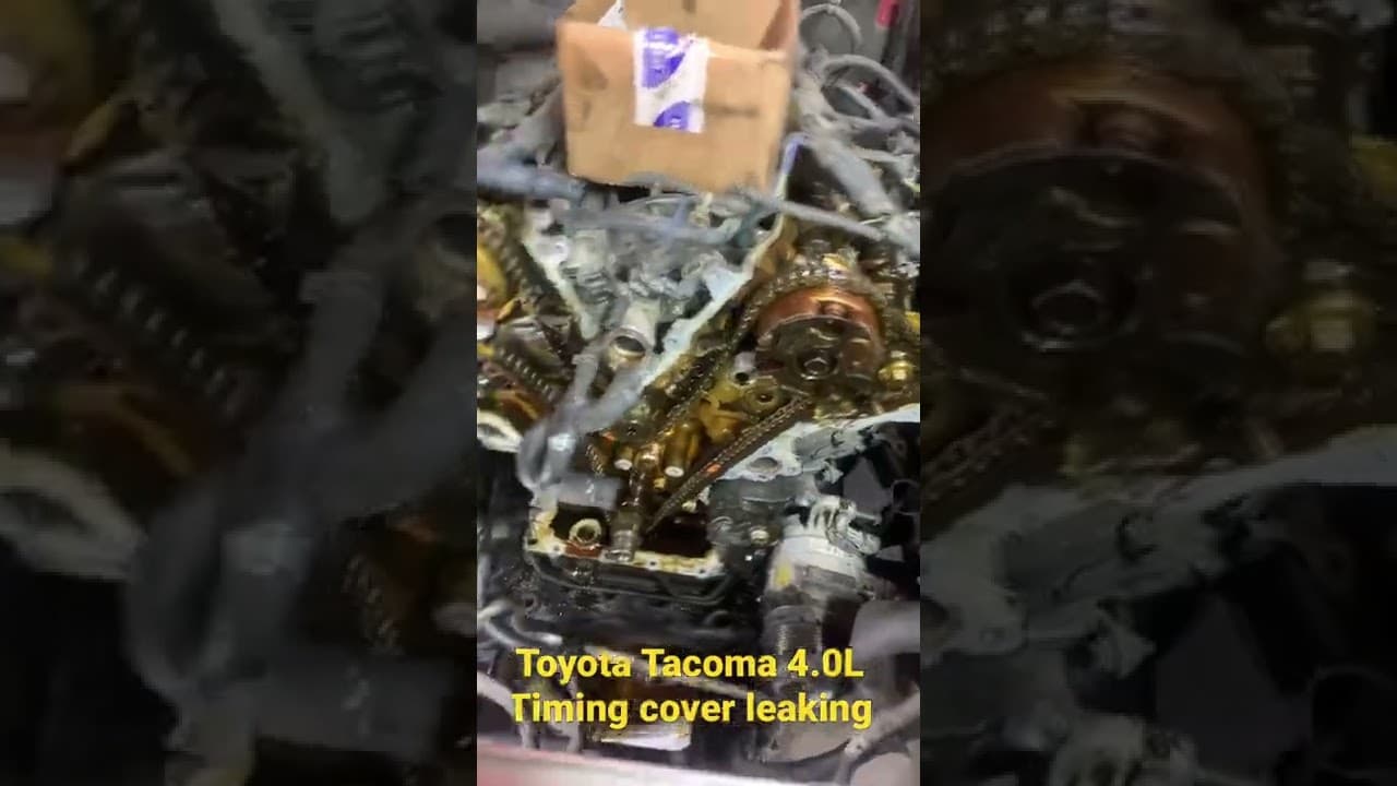 Toyota Tacoma timing cover leaking oil