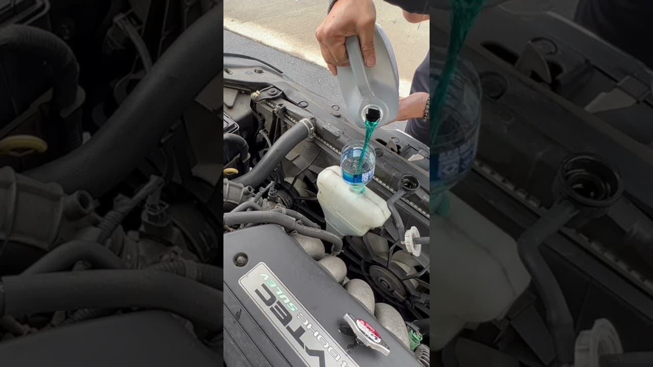 2005 honda accord: Adding coolant to coolant reservoir 😎👍🤙 #youtubeshorts #coolant #car #shorts