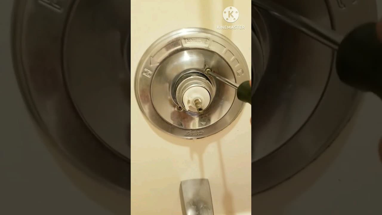 shower faucet repair