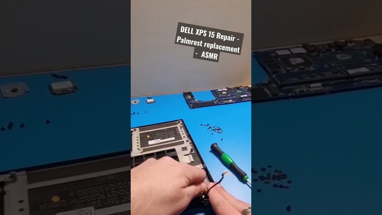 DELL XPS 15 Repair Palmrest replacement #ASMR ##xpslaptop #computerrepairs #techguy #laptoprepair